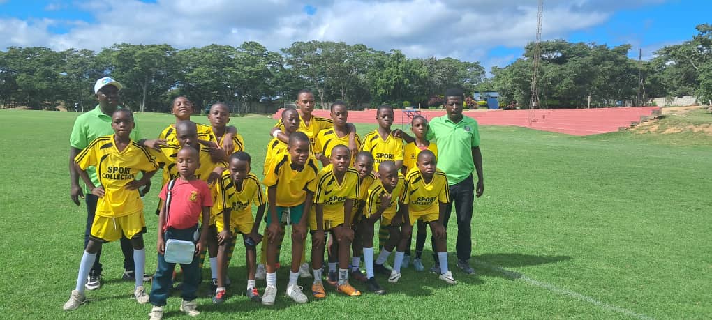 ball games friendly Matches 